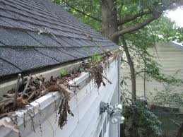 steveguttersleavegutter