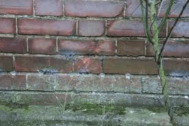 stevesguttersdampbrickwork