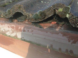 gutter service in my area