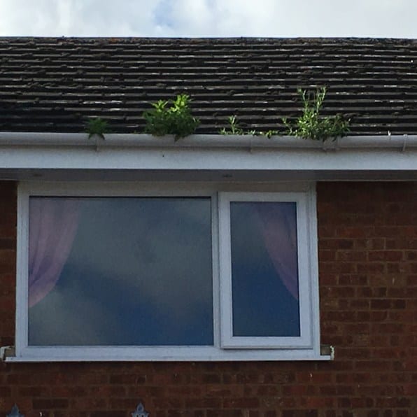 gutter cleaning services near me