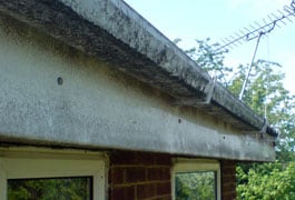 gutter cleaning services near me