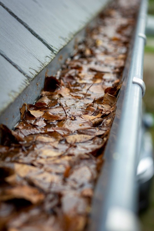 cleaning leaves out of gutters in northamptonshire