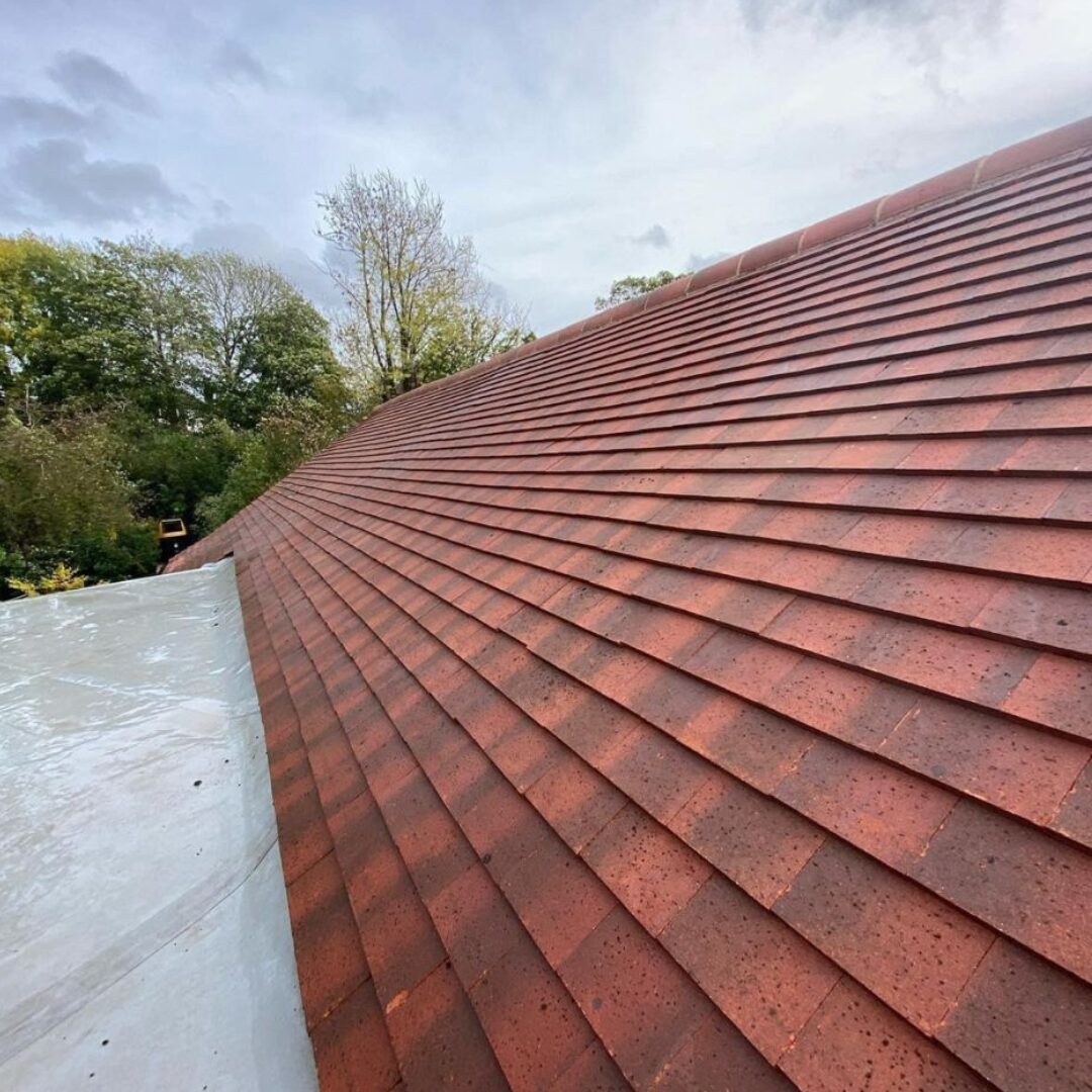 gutter cleaning moss removal new build