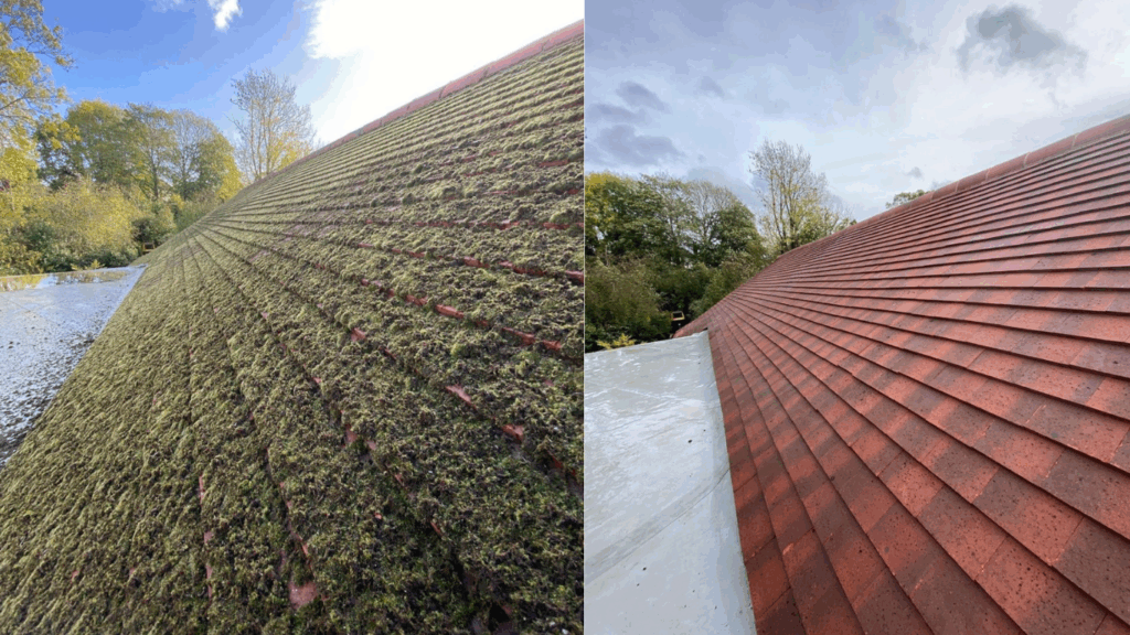 Before and after roof cleaning by Steve’s Gutters in Luton – moss removal and tile restoration showing dramatic improvement