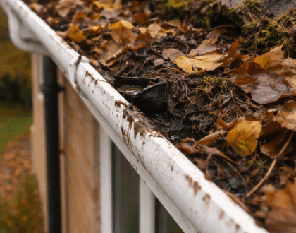 Residential and Commercial Gutter Maintenance Solutions in Bedfordshire
