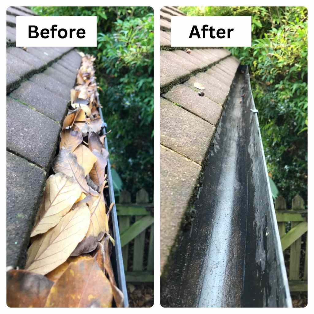 Before (1) (1)